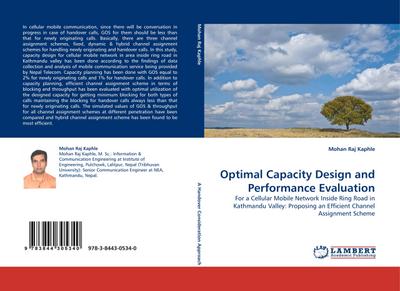 Optimal Capacity Design and Performance Evaluation