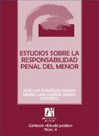 Estudios sobre la responsabilidad penal del menor