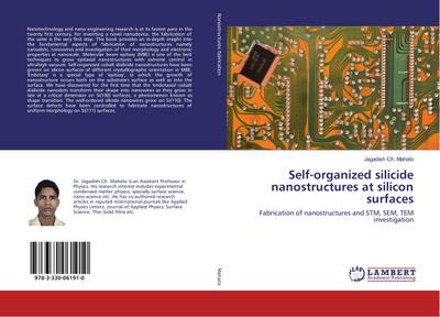 Self-organized silicide nanostructures at silicon surfaces
