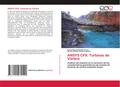 ANSYS CFX: Turbinas de Vórtice