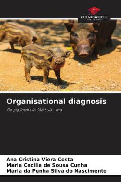 Organisational diagnosis