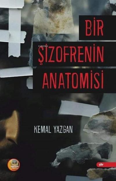 Bir Sizofrenin Anatomisi