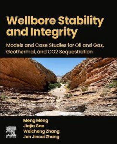 Wellbore Stability and Integrity