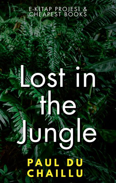 Lost in the Jungle