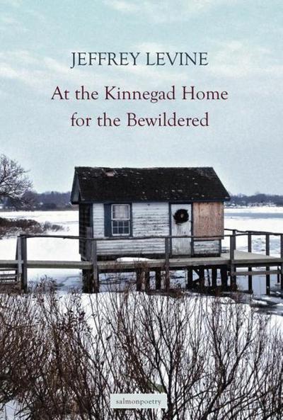 At the Kinnegad Home for the Bewildered