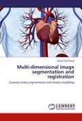 Multi-dimensional image segmentation and registration