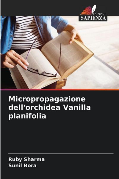 Micropropagazione dell’orchidea Vanilla planifolia