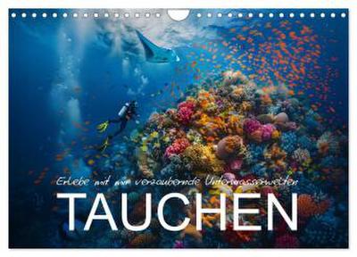 Erlebe mit mir verzaubernde Unterwasserwelten Tauchen (Wandkalender 2026 DIN A4 quer), CALVENDO Monatskalender