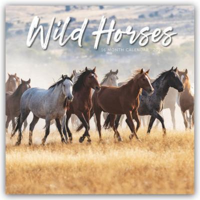 Wild Horses - Wildpferde 2026 - Wand-Kalender