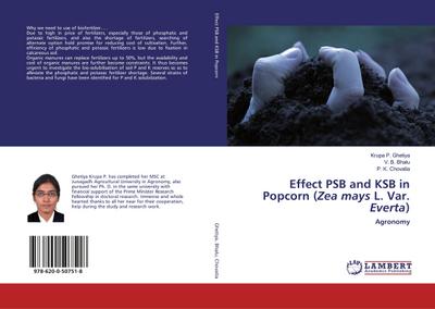 Effect PSB and KSB in Popcorn (Zea mays L. Var. Everta)