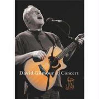 David Gilmour - David Gilmour In Concert