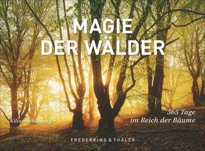 Tischaufsteller Magie der Wälder