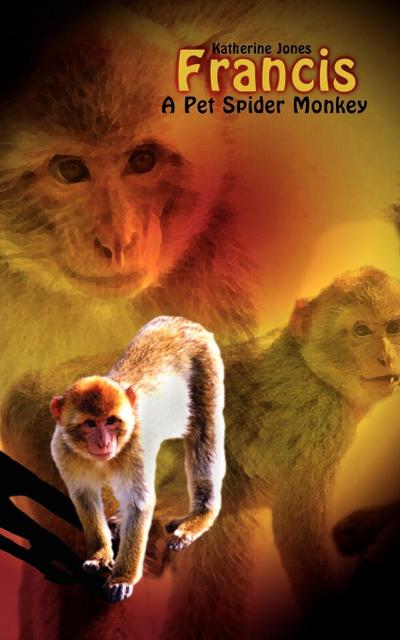Francis, A Pet Spider Monkey