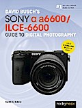 David Busch’s Sony Alpha a6600/ILCE-6600 Guide to Digital Photography