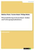 Wirtschaftsbetrug in Deutschland - Delikte und Vorbeugungsmaßnahmen
