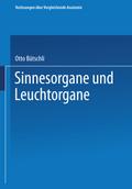 Sinnesorgane und Leuchtorgane