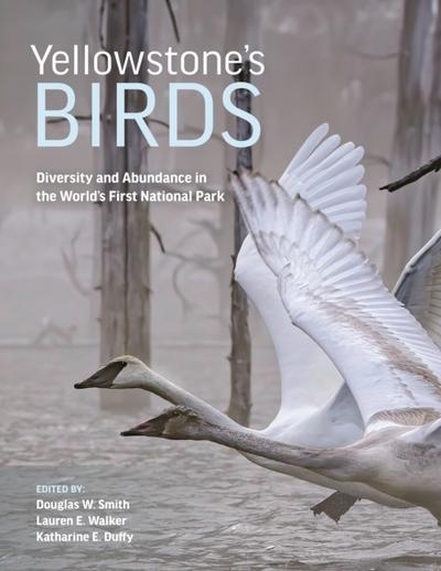 Yellowstone’s Birds