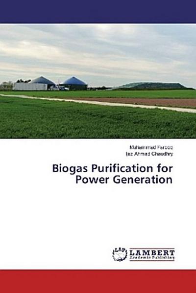 Biogas Purification for Power Generation
