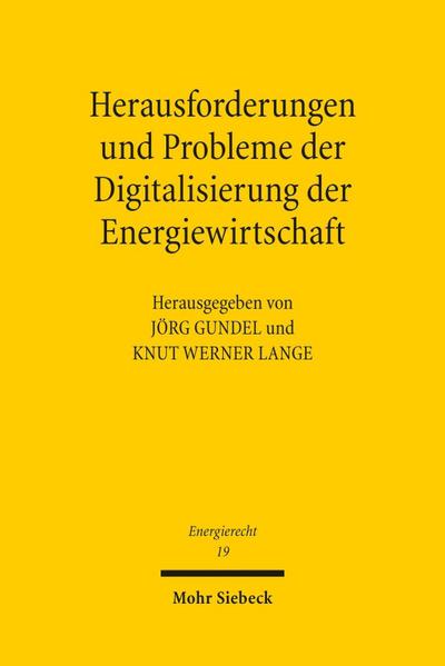 Herausforderungen und Probleme der Digitalisierung der Energiewirtschaft