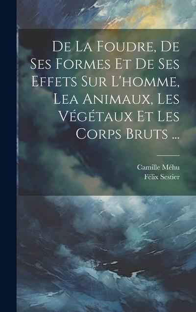 De La Foudre, De Ses Formes Et De Ses Effets Sur L’homme, Lea Animaux, Les Végétaux Et Les Corps Bruts ...