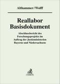 Reallabor Basisdokument