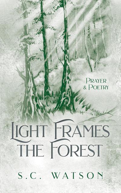 Light Frames the Forest