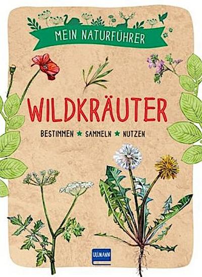 Mein Naturführer Wildkräuter
