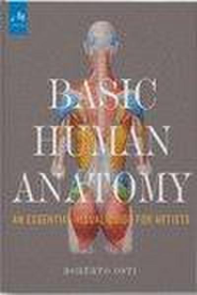 Basic Human Anatomy
