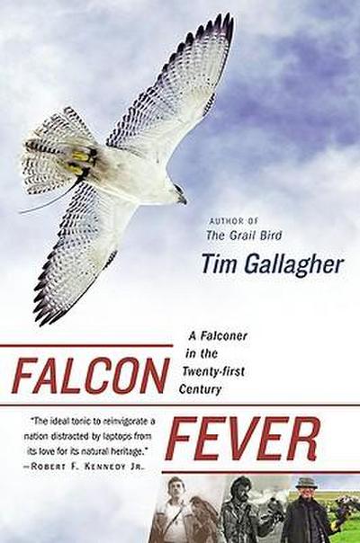 Falcon Fever - Tim Gallagher