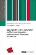 Sozialpolitik und Soziale Arbeit im Mehrebenensyst