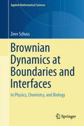 Brownian Dynamics at Boundaries and Interfaces