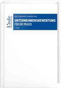 Unternehmensbewertung für die Praxis
