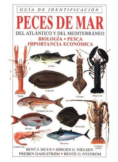 Peces de mar del Atlántico y del Mediterráneo : guía de identificación