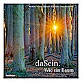daSein. Wie ein Baum
