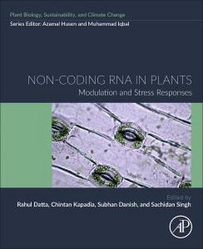 Non-Coding RNA in Plants