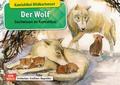 Der Wolf