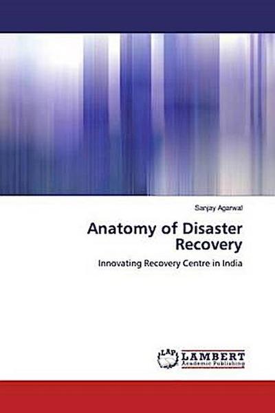 Anatomy of Disaster Recovery