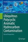Ubiquitous Polycyclic Aromatic Hydrocarbon Contamination