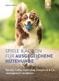 Spiele und Action für ausgeglichene Hütehunde