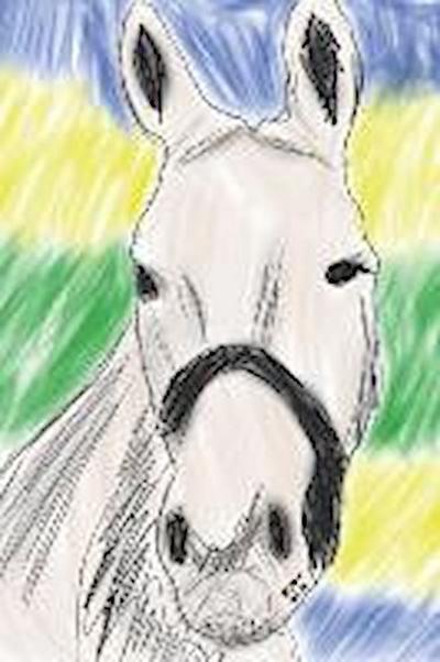 Aposte No Mossoró: Uma Estória Esportiva No Rio de Janeiro DOS Anos 1930