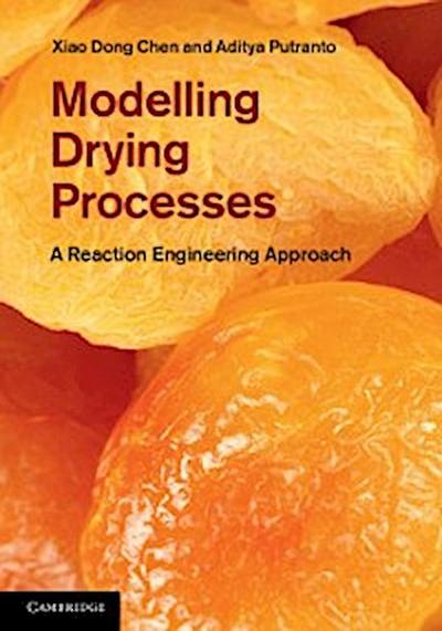 Modelling Drying Processes