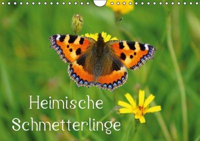 Heimische Schmetterlinge / Geburtstagskalender (Wandkalender immerwährend DIN A4 quer)