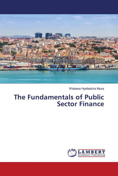 The Fundamentals of Public Sector Finance