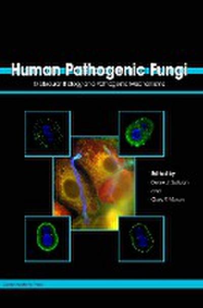 Human Pathogenic Fungi