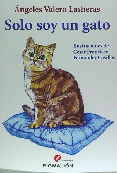 Solo soy un gato
