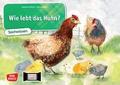Wie lebt das Huhn?