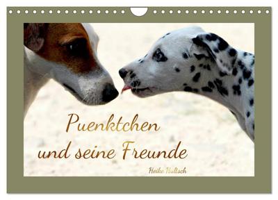 Pünktchen und seine Freunde (Wandkalender 2024 DIN A4 quer), CALVENDO Monatskalender
