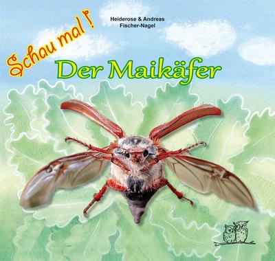 Schau mal! Der Maikäfer