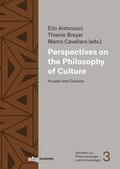Perspectives on the Philosophy of Culture