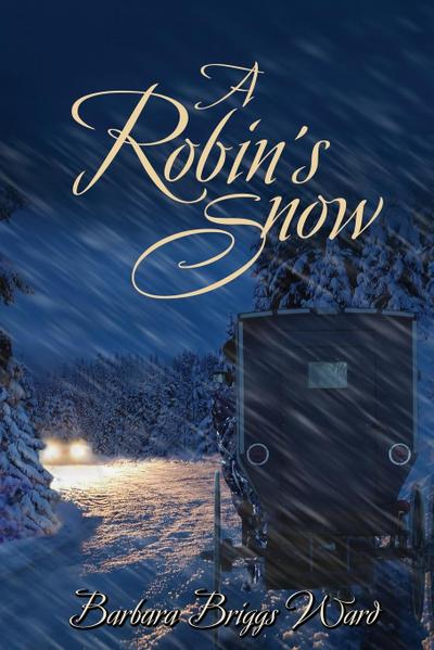 A Robin’s Snow
